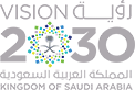 vision